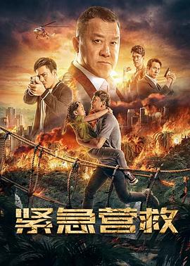 《如意芳菲》主视觉